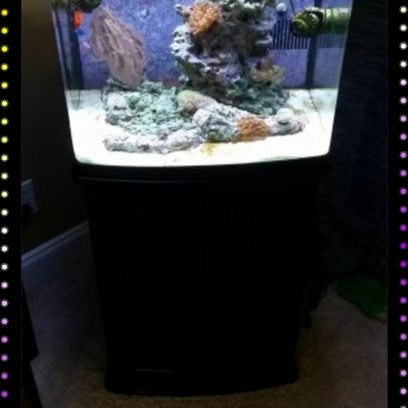 Oceanic biocube 32 gallon led like new six months - Picture 2 of 2